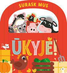 Surask mus ūkyje! цена и информация | Книги для детей | pigu.lt