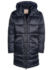 Мужская утепленная куртка Champion, синяя цена и информация | Мужские куртки | pigu.lt