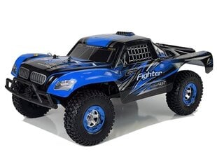 Auto Zdalnie Sterowane FY-01 4x4 Pick Up 1:12 R/C 40 km/h Niebieski цена и информация | Игрушки для мальчиков | pigu.lt