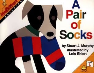 Pair of Socks цена и информация | Книги для малышей | pigu.lt