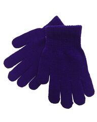 Детские перчатки Hofler MG86*02, лиловые, 6438150008616 цена и информация | Шапки, перчатки, шарфы для мальчиков | pigu.lt