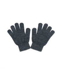 Детские перчатки Hofler MG86*09, тёмно-серые, 6438150008722 цена и информация | Шапки, перчатки, шарфы для мальчиков | pigu.lt