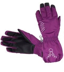Детские утепленные перчатки Hofler 183642 01, тёмно-лиловый 183642*01-XL цена и информация | Шапки, перчатки, шарфы для девочек | pigu.lt