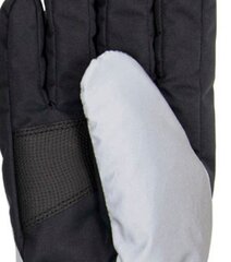 Мужские перчатки Hofler 51181 01, серебряные/черные, 51181*01-009 цена и информация | Шапки, перчатки, шарфы для мальчиков | pigu.lt