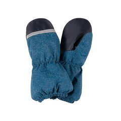 Lenne детские варежки Snow 23175 A*6683, 4741593412004, синий  цена и информация | Шапки, перчатки, шарфы для мальчиков | pigu.lt