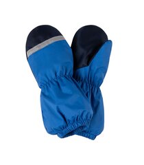 Lenne варежки для детей Snow 23175*678, синий цена и информация | Шапки, перчатки, шарфы для мальчиков | pigu.lt