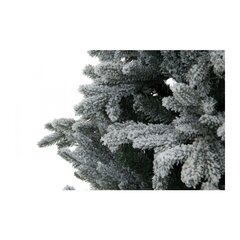 Kalėdų eglutė Luxus 180 cm kaina ir informacija | Eglutės, vainikai, stovai | pigu.lt