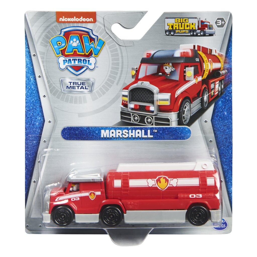 PAW PATROL 1:55 transporto priemonė Big Truck, Rocky, 6065775 kaina ir informacija | Žaislai berniukams | pigu.lt