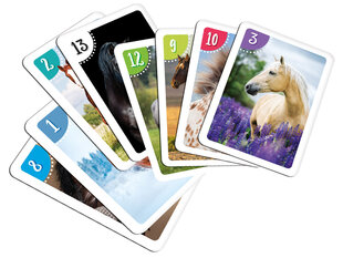 Kortų žaidimų Piteris ir Atmintis rinkinys, arkliai kaina ir informacija | Lavinamieji žaislai | pigu.lt