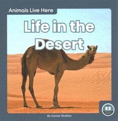 Animals Live Here: Life in the Desert цена и информация | Книги для подростков  | pigu.lt