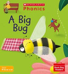 A Big Bug (Set 3) цена и информация | Книги для подростков и молодежи | pigu.lt