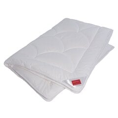 Двухспальное одеяло 200x200 цена и информация | Одеяла | pigu.lt