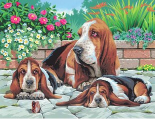 Tapyba pagal numerius Sequin Art Basset Hounds цена и информация | Живопись по номерам | pigu.lt