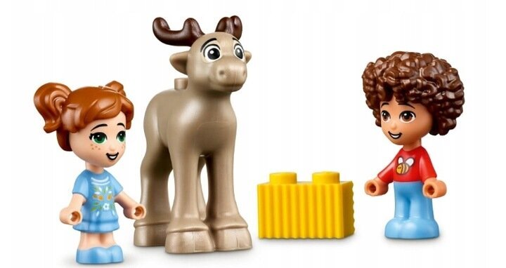 41706 LEGO Friends Advento kalendorius kaina ir informacija | Žaislai berniukams | pigu.lt