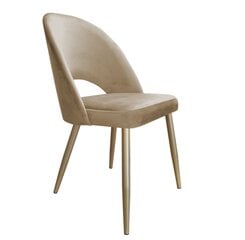 Kėdė Decorates Tillo Gold, ruda kaina ir informacija | Virtuvės ir valgomojo kėdės | pigu.lt