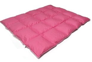 Одеяло, 160x200 см цена и информация | Одеяла | pigu.lt