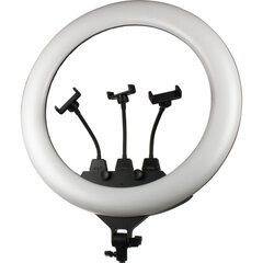 Кольцевая LED лампа с регулируемым штативом цена и информация | Осветительное оборудование для фотосъемки | pigu.lt