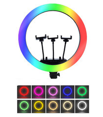 Žiedo formos LED lempa kaina ir informacija | Fotografijos apšvietimo įranga | pigu.lt