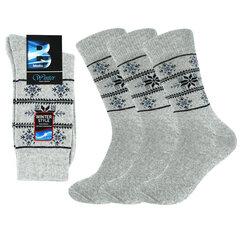 Мужские теплые носки Bisoks, 12340 серые, 3 пары цена и информация | Мужские носки | pigu.lt