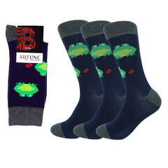 Мужские классические носки Bisoks 12282 синие, 3 пары цена и информация | Мужские носки | pigu.lt