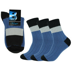 Мужские теплые носки Bisoks 12323 синие, 3 пары цена и информация | Мужские носки | pigu.lt