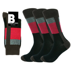 Мужские классические носки Bisoks 12325 коричневые, 3 пары цена и информация | Мужские носки | pigu.lt