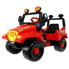 Детская машина на педалях Fire BJPlastic цена и информация | Игрушки для мальчиков | pigu.lt