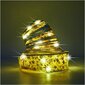 Kalėdinė girlianda, 100 LED, 10m kaina ir informacija | Girliandos | pigu.lt