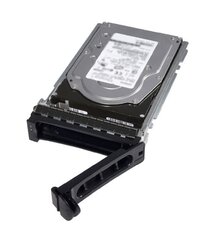 Dell 400-ATKJ цена и информация | Внутренние жёсткие диски (HDD, SSD, Hybrid) | pigu.lt