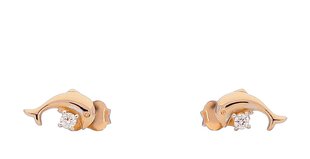 Auksiniai auskarai su cirkoniais kaina ir informacija | Auskarai | pigu.lt
