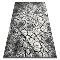 Rugsx kilimas Silver Terra 200x300 cm kaina ir informacija | Kilimai | pigu.lt