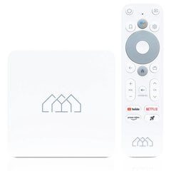 Homatics Box R Lite 4K Android SMART TV цена и информация | ТВ-тюнеры | pigu.lt