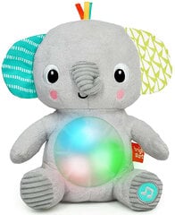 Šviečiantis dramblys su šviesa ir garsu Bright Starts цена и информация | Игрушки для малышей | pigu.lt