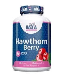 Maisto papildas Haya Labs Hawthorn Berry, 120 kaps. цена и информация | Витамины | pigu.lt