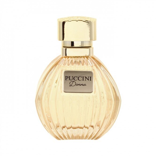 Parfumuotas vanduo Puccini Donna EDP, moterims, 100 ml цена и информация | Kvepalai moterims | pigu.lt
