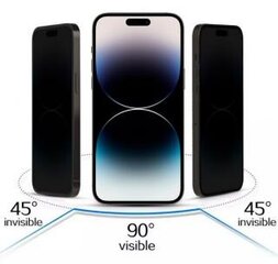Privacy Glass 9H. цена и информация | Защитные пленки для телефонов | pigu.lt