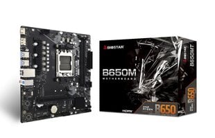 Biostar B650MT kaina ir informacija | Biostar Kompiuterinė technika | pigu.lt