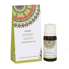 Aromatinis aliejus Goloka Fresh Mint, 10 ml цена и информация | Эфирные, косметические масла, гидролаты | pigu.lt