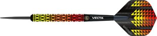 Strėlytės Winmau Firestorm Flame, 26 g, įvairių spalva цена и информация | Дартс | pigu.lt