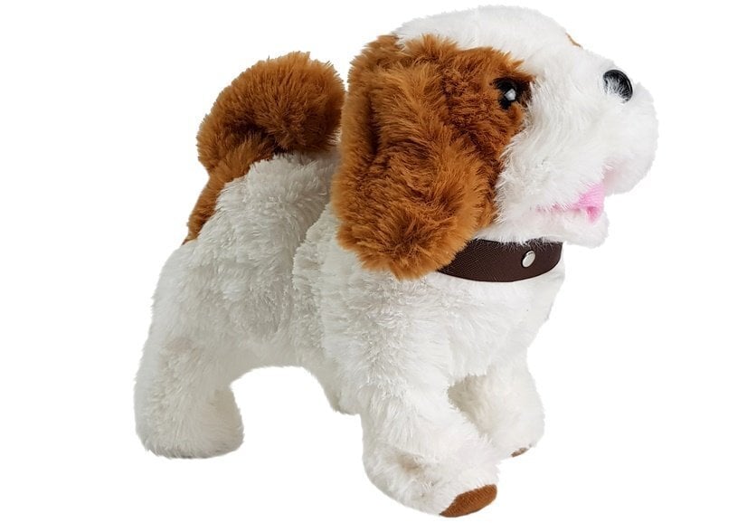 Interaktyvus žaislinis šuniukas su priedais Lean Toys kaina ir informacija | Minkšti (pliušiniai) žaislai | pigu.lt