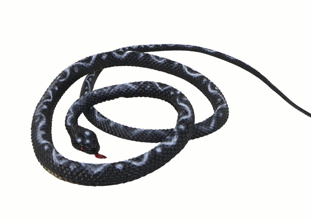 Guminė gyvatė Lean Toys, juoda, 130 cm kaina ir informacija | Žaislai berniukams | pigu.lt