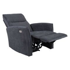 Кресло с откидной спинкой Linux электрическое, темно-серый цена и информация | Кресла в гостиную | pigu.lt