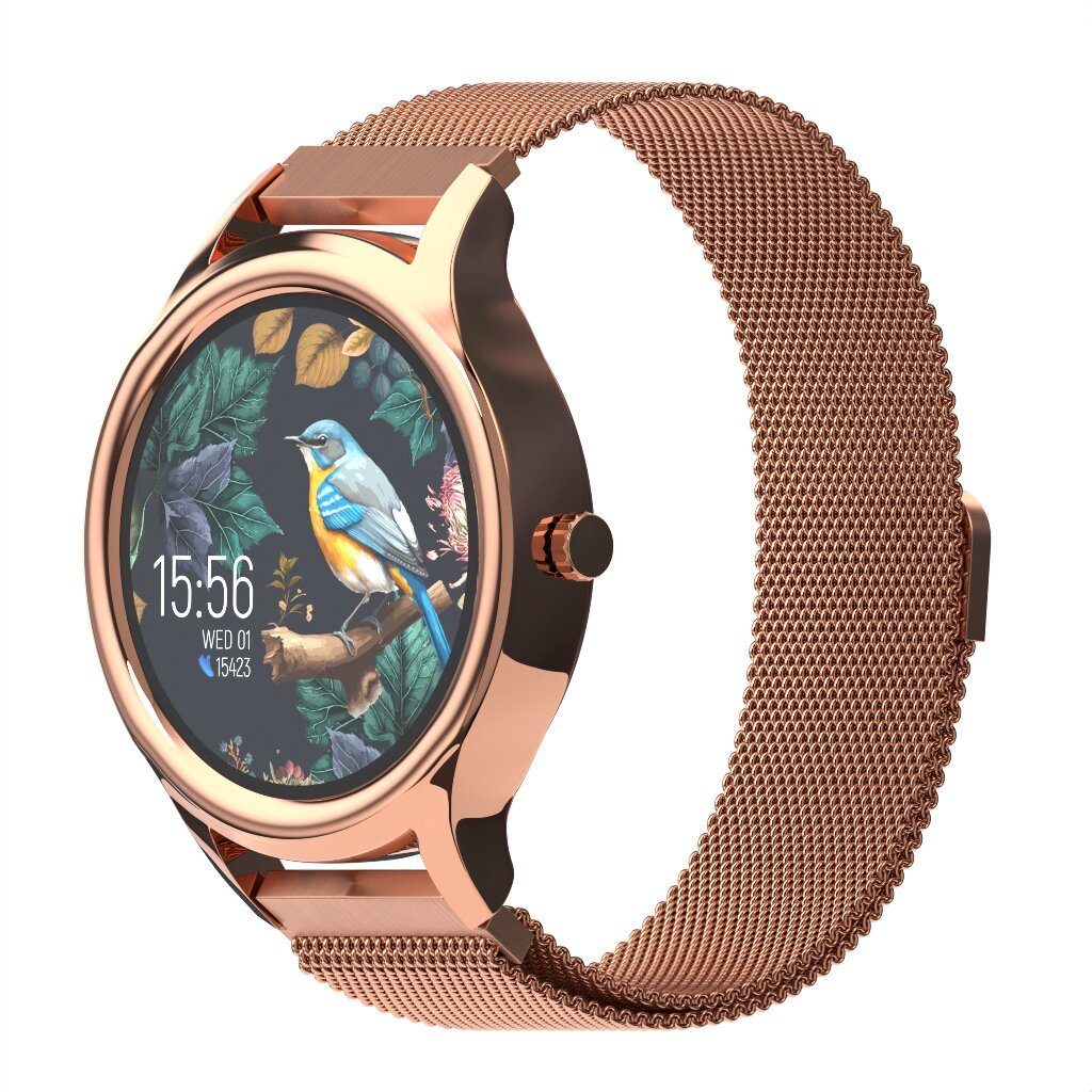 Forever ForeVive 3 SB-340 Gold цена и информация | Išmanieji laikrodžiai (smartwatch) | pigu.lt