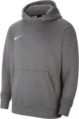 Nike Джемпер NK Jr Park 20 Fleece Hoodie Grey CW6896 071 CW6896 071/XS цена и информация | Мужские толстовки | pigu.lt