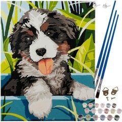Картина по номерам 40х30см Собака цена и информация | Набор для рисования по номерам | pigu.lt