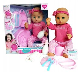 Lėlė kūdikis su priedais, 43 cm kaina ir informacija | Žaislai mergaitėms | pigu.lt