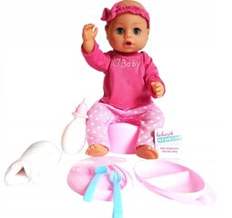 Lėlė kūdikis su priedais, 43 cm kaina ir informacija | Žaislai mergaitėms | pigu.lt