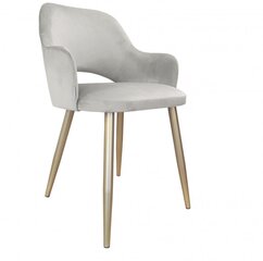 Kėdė Decorates Milan Gold, pilka kaina ir informacija | Virtuvės ir valgomojo kėdės | pigu.lt