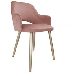 Kėdė Decorates Milan Gold, rožinė kaina ir informacija | Virtuvės ir valgomojo kėdės | pigu.lt