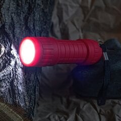 Forever Light LED flashlight MINI 3xAAA FLF-06 цена и информация | Фонарики, прожекторы | pigu.lt